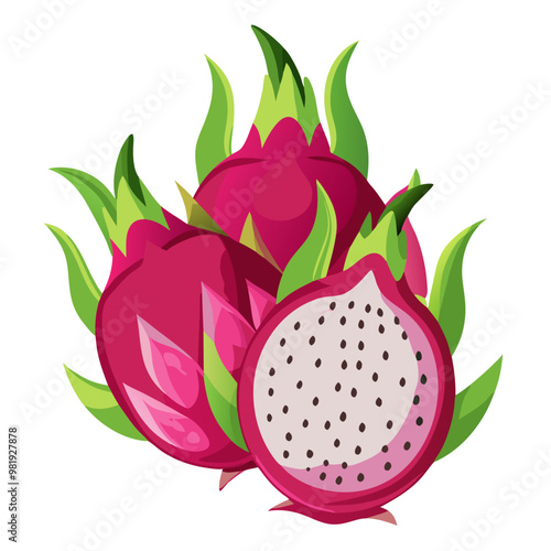 A fresh and delicious dragon fruit vector illustration showcasing the vibrant pink and green colors with a tropical and exotic appeal