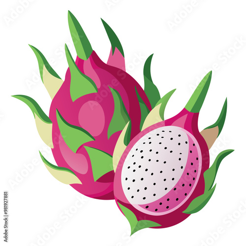 Exotic and fresh dragon fruit illustration showing a ripe and colorful pink and green tropical fruit ideal for health and wellness themed designs