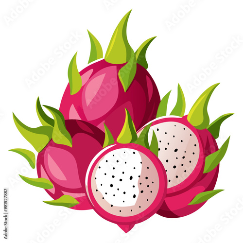 Tropical and exotic dragon fruit illustration with pink and green skin representing freshness and healthy living in a detailed vector design