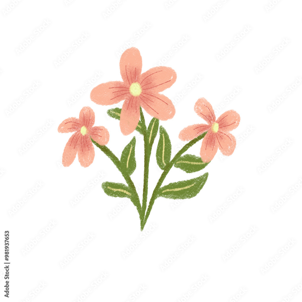 bouquet of flowers bouquet of flowers