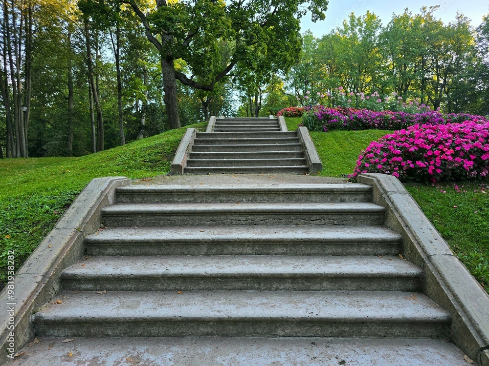 The stairs in the park The stairs in the park