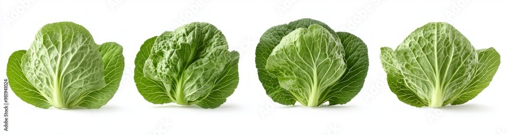 Fresh green cabbage and bok choy leaves, vibrant and crisp, isolated on a transparent background, ideal for graphic design, culinary illustrations, or organic food presentations. Fresh green cabbage and bok choy leaves, vibrant and crisp, isolated on a transparent background, ideal for graphic design, culinary illustrations, or organic food presentations.