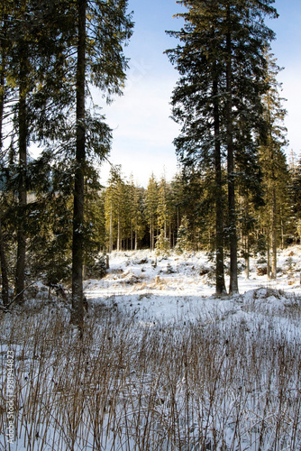 Zakopane