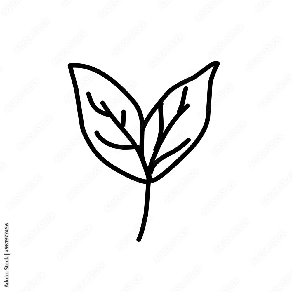 leaf line art icon leaf line art icon