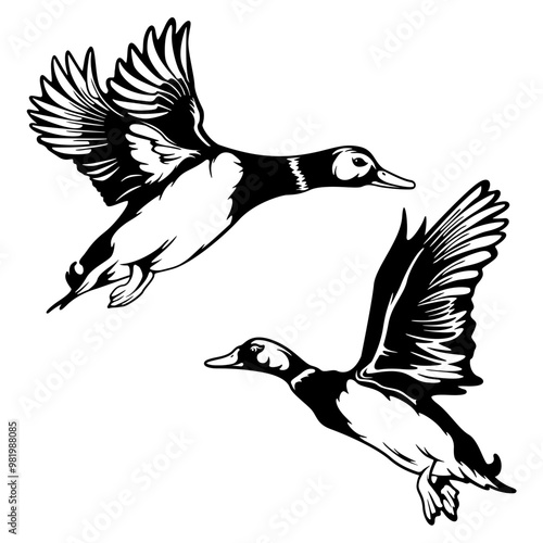 Wild Ducks | Wildlife | Flying Ducks | Duck Hunting | Outdoor Hunting | Flying Wild Ducks | Farm Animal | Wild Animal | Original Illustration | Vector and Clipart | Cutfile and Stencil