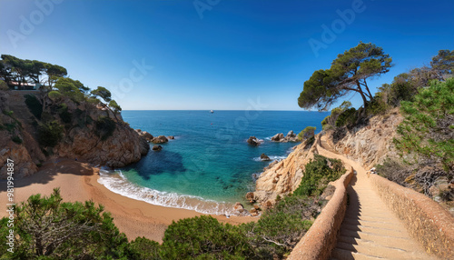 Scenic Coastal Path Leading to Secluded Beach 