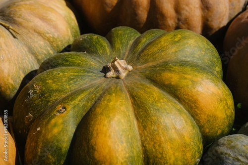 Close-up of a vibrant green and orange pumpkin at a local market during the autumn harvest season