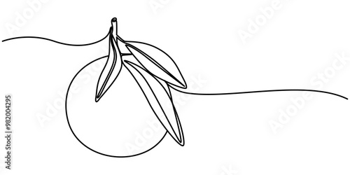 Orange blossom, neroli vector illustration. One continuous line art drawing of citrus flowers with lettering orange blossom, Continuous single one line drawing of orange tangerine summer fresh fruit