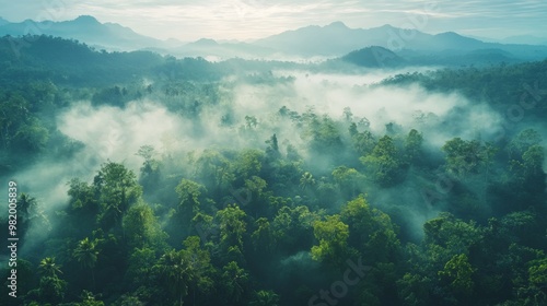 Aerial shot of a dense jungle with vibrant green treetops shrouded in morning fog, highlighting the beauty of nature. selective focus - Sustainability theme - surreal - Overlay - Mountains