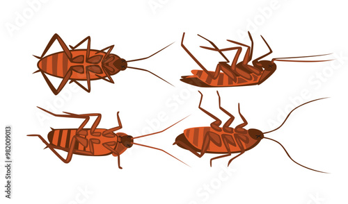 Set of dead cockroach collection, dying cockroach cartoon, Corpse of insect or pest bug, poaching and illegal animal hunting icons, danger for safety of wildlife, Cockroach upside down on the floor.