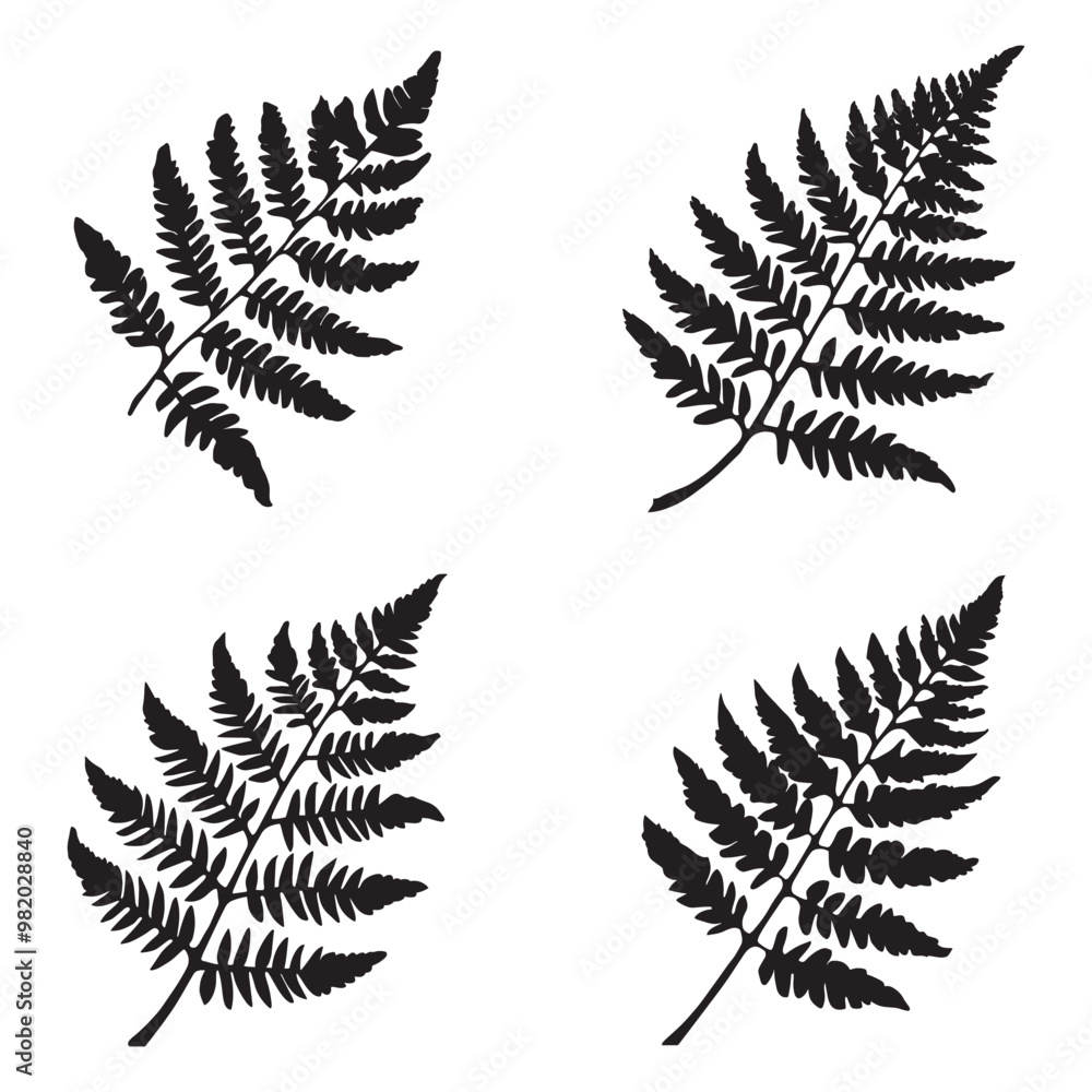 Black and white vector silhouettes set of fern Black and white vector silhouettes set of fern