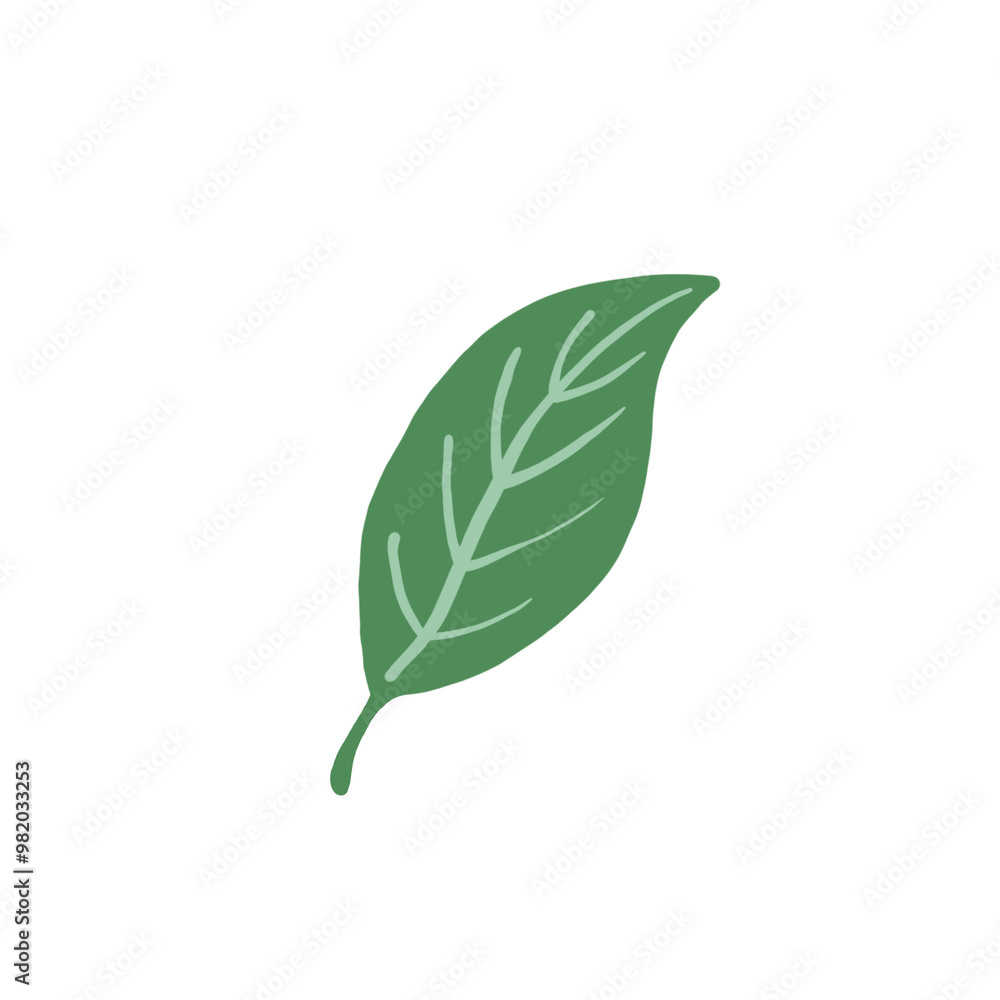 leaf illustration isolated tranparant elements leaf illustration isolated tranparant elements