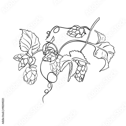 Hop vine, humulus plant black white linear vector illustration isolated. Hop cones on branch, tendril monochrome contour hand drawn in botanical sketch for beer label, herbal packaging, Oktoberfest