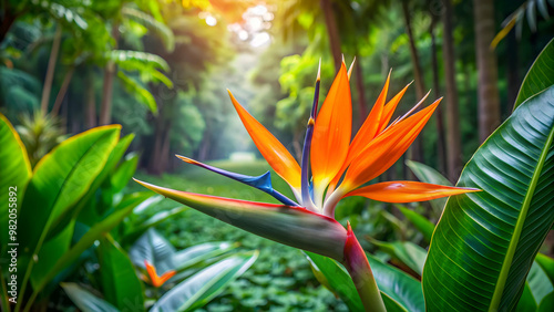 Fototapeta Naklejka Na Ścianę i Meble -  Exotic strelitzia flower blooming in a lush jungle setting, tropical, vibrant, colorful, nature, plant, petals, exotic