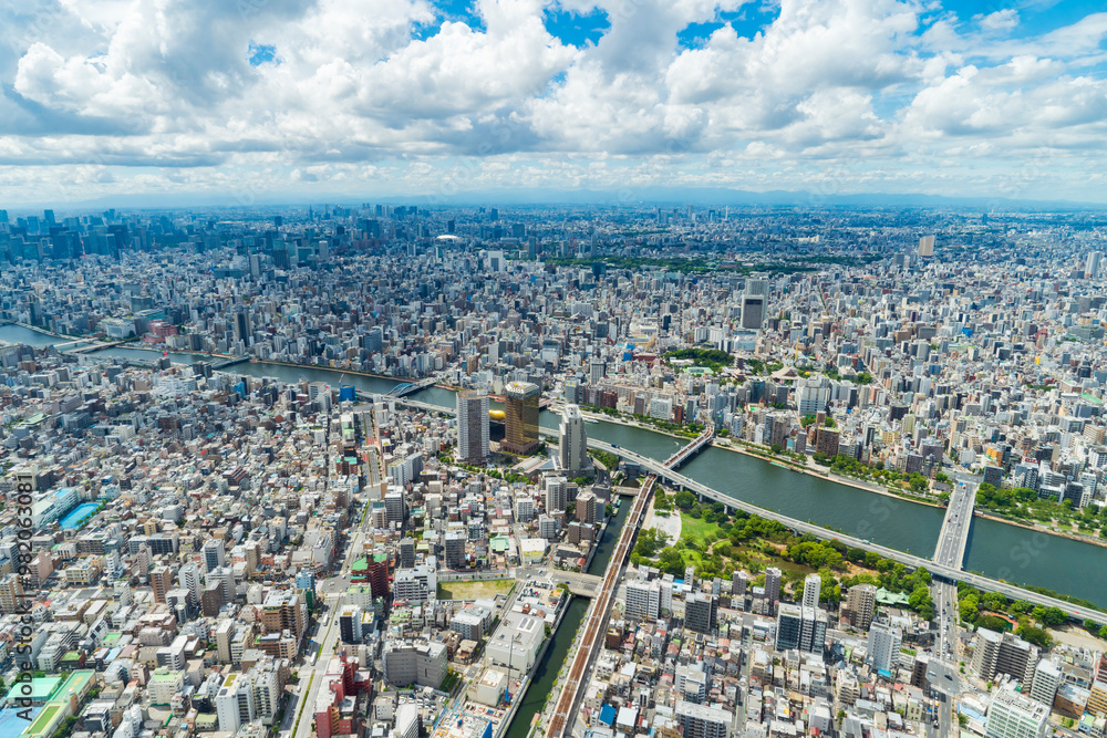 Naklejka premium 【都市風景】東京スカイツリーから東京眺望