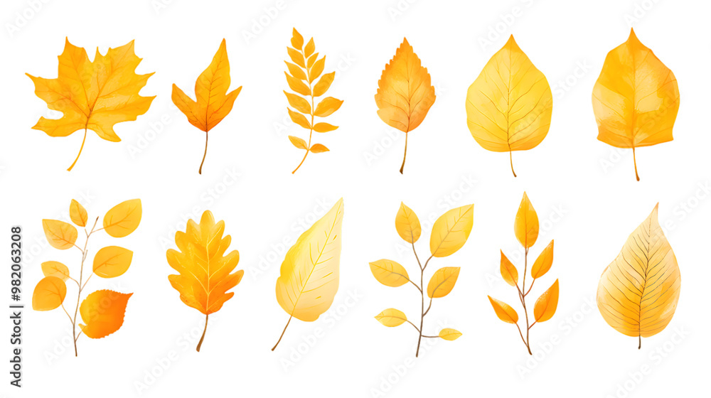 Obraz premium Autumn yellow leaves hand drawn collection isolated on transparent background