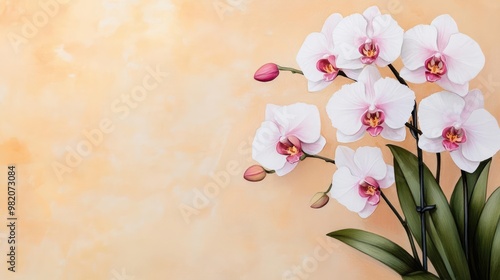 Elegant orchids, sketch-like details, tranquil ambiance, watercolor composition