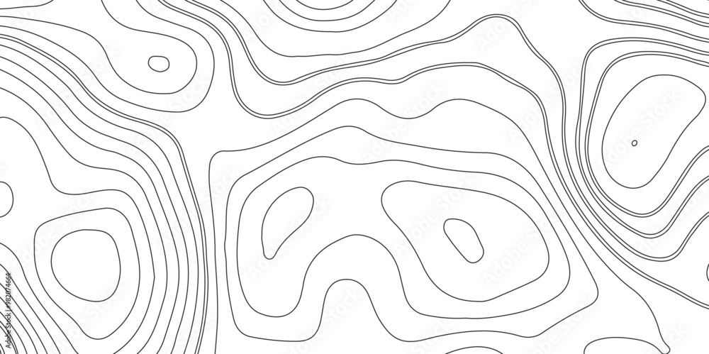 Abstract white topography geographic contour map background .topography white paper and black waves lines backdrop background .modern geographic contour map vector illustration . Abstract white topography geographic contour map background .topography white paper and black waves lines backdrop background .modern geographic contour map vector illustration .