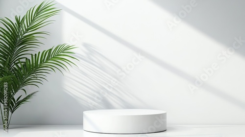 Modern minimalistic studio with a white pedestal and a green leaf plant, creating a fresh and stylish atmosphere.