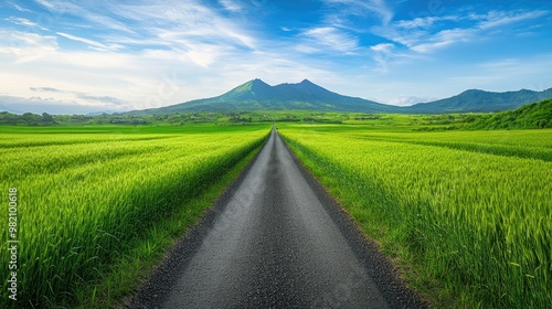 A peaceful farm road runs through vibrant green barley fields on Gapado Island, with Mt. Sanbang and Mt. Halla framing the horizon. photo