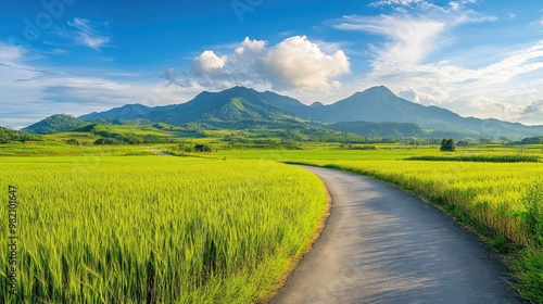 A scenic view of green barley fields on Gapado Island, with a winding farm road leading toward Mt. Sanbang and Mt. Halla in the distance, perfect for nature lovers. photo