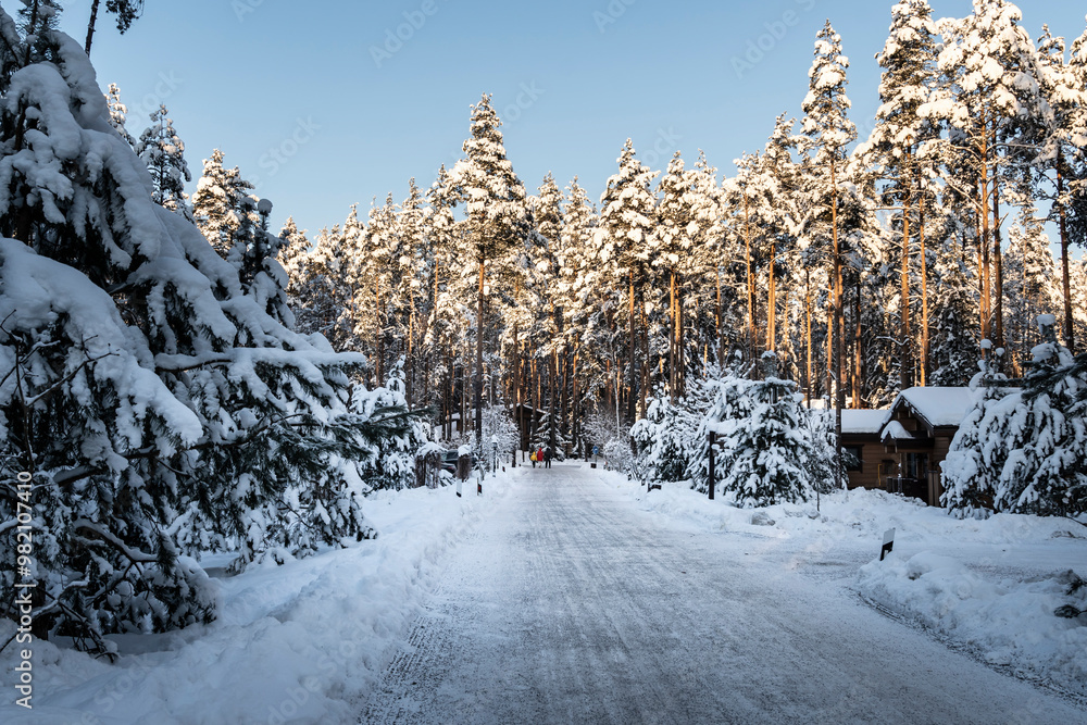 Obraz premium A distant view of a family walking in the forest on a beautiful winter day