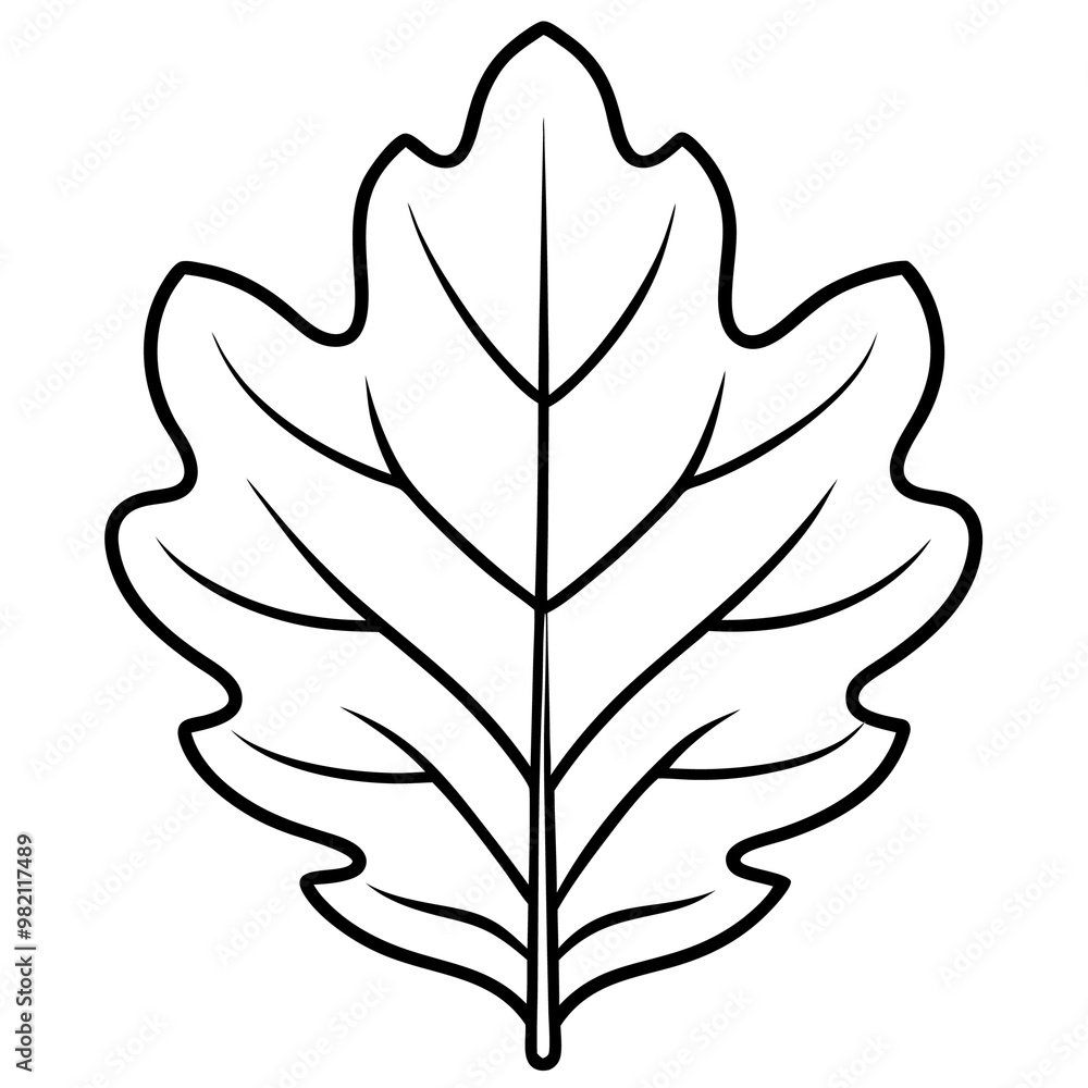 natural oak leaf outline coloring book page line art drawing natural oak leaf outline coloring book page line art drawing