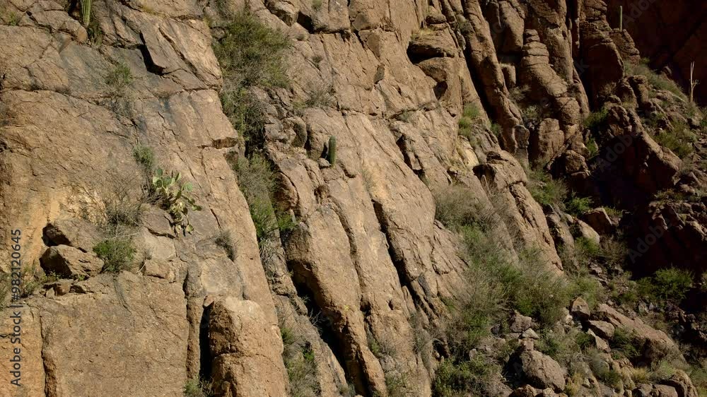 drone shot panning from little cactus on the side of mountain to Tucson Arizona drone shot panning from little cactus on the side of mountain to Tucson Arizona