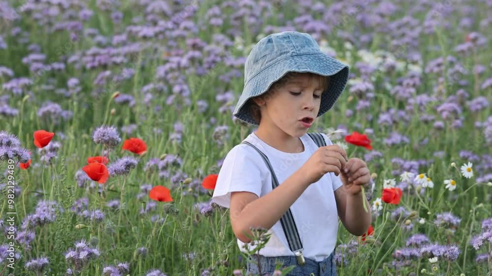 Beautiful school child in a flower field on sunset, playing with airplane and vintage suitcase Beautiful school child in a flower field on sunset, playing with airplane and vintage suitcase