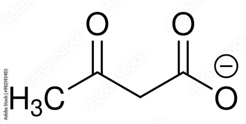 Acetoacetat Ketogenese Chemie Strukturformel Vektor