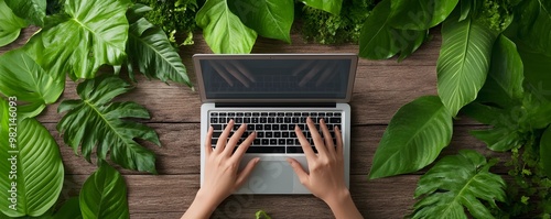 Hands Typing on Laptop Surr...