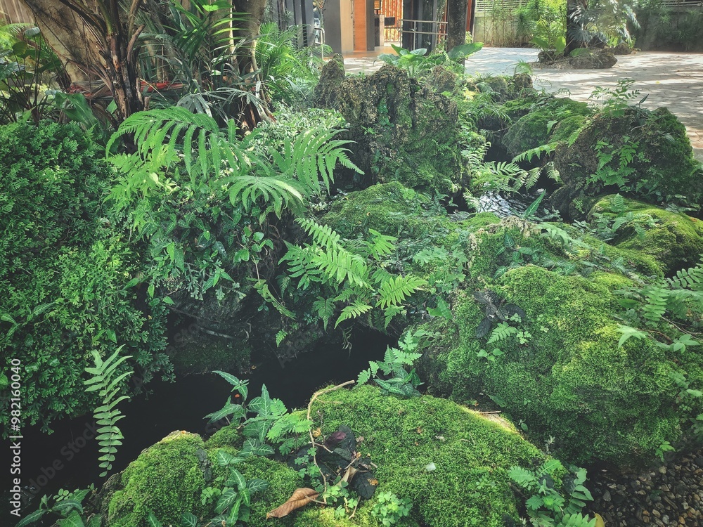 Beautiful of green tropical leaves Beautiful of green tropical leaves