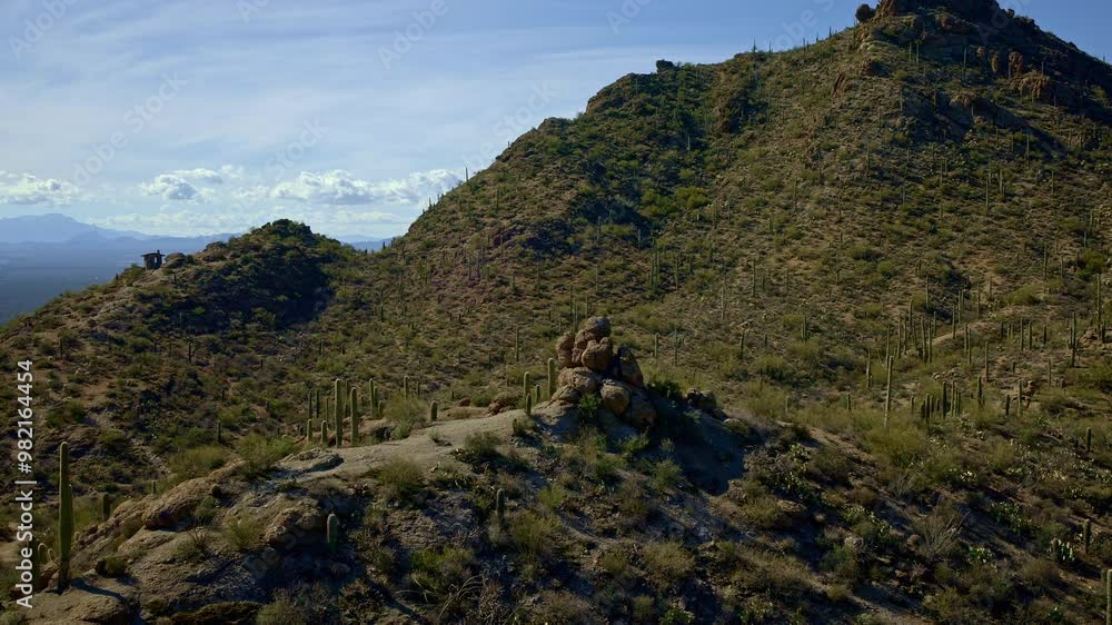 Amazing drone shot of numerous cacti in breathtaking mountain desert landscape Amazing drone shot of numerous cacti in breathtaking mountain desert landscape