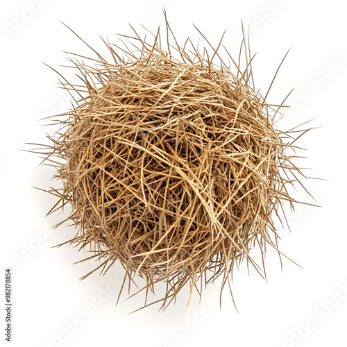 Round Dry Tumbleweed Ball isolated on white