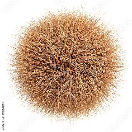 Round Dry Tumbleweed Ball isolated on white