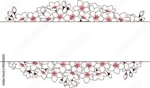 桜の花のベクターフレーム素材