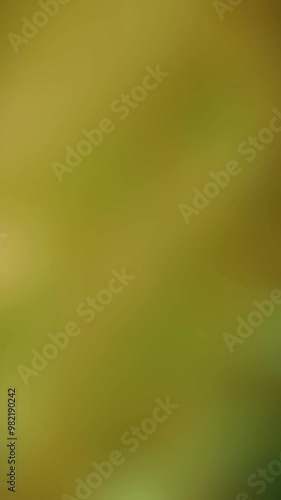 Blurred green and brown background with slight shine suitable for naturerelated designs like banners, web backgrounds, flyers, and presentations. photo