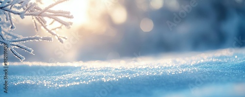 A serene winter landscape featuring glistening snow and soft sunlight filtering through frosty branches, evoking tranquility. photo