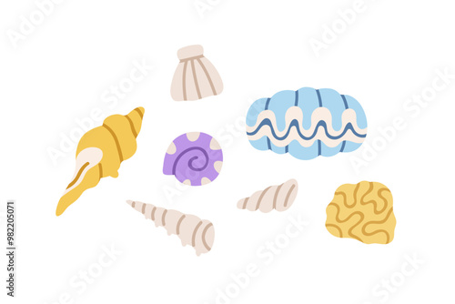 Seashells set. Marine sea shells, beach coastal conch, tropical scallop, underwater mollusc, clam, shellfish collection. Ocean design elements. Flat vector illustration isolated on white background