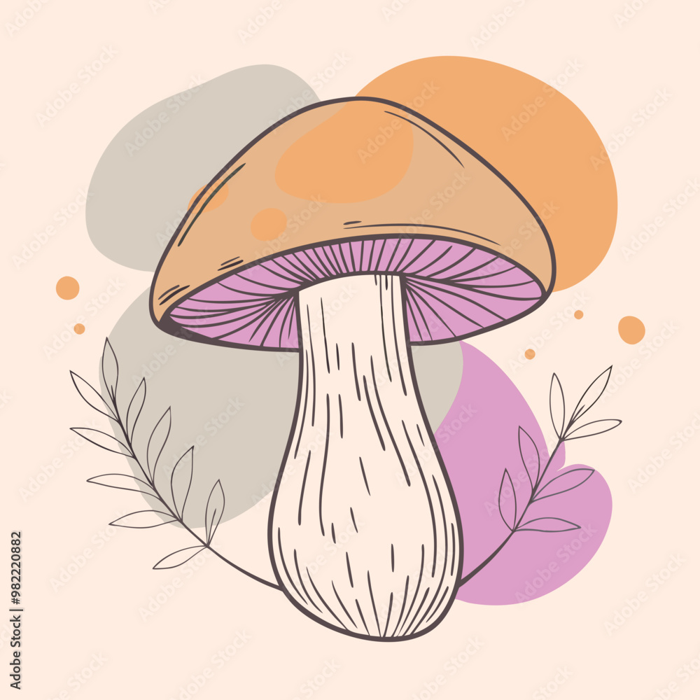 vector illustration of mushroom vector illustration of mushroom