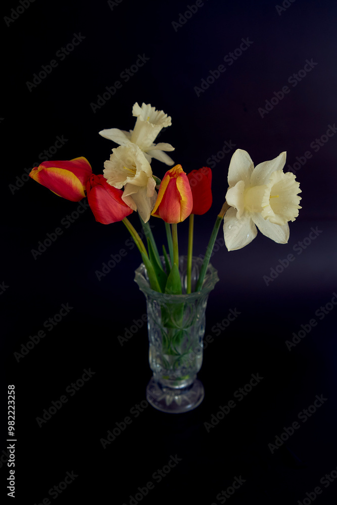 tulips and daffodils in a crystal vase on a black background tulips and daffodils in a crystal vase on a black background