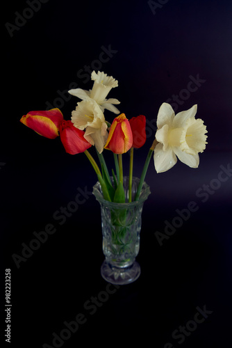 tulips and daffodils in a crystal vase on a black background photo