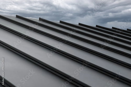 Fotografie Close-up house retro roof panel with standing seam and fasteners