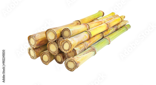 Bambus Pile of green sugar cane isolated on white background