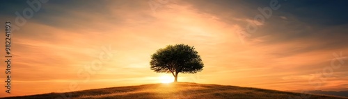 Lone Tree Silhouetted Again...