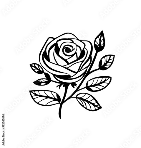 rose