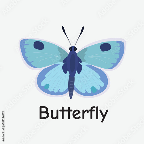 Butterfly Vector Illustration: Spring Nature Insect Design