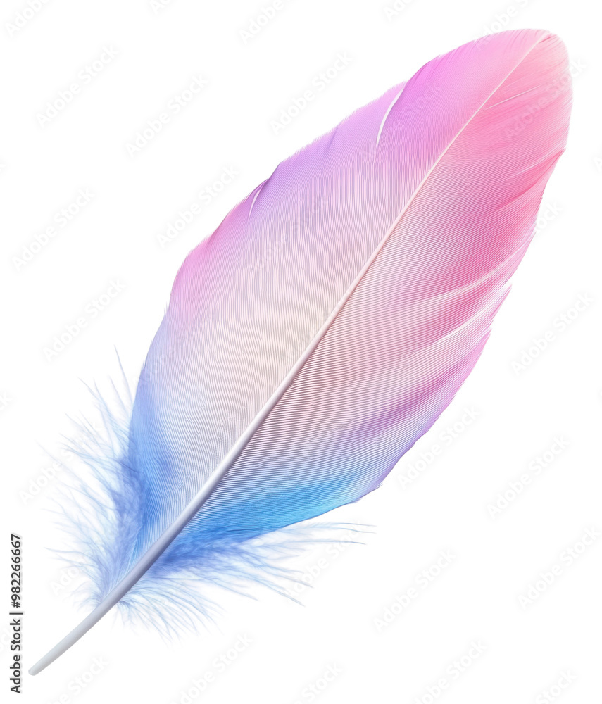 PNG Gradient feather on white backdrop