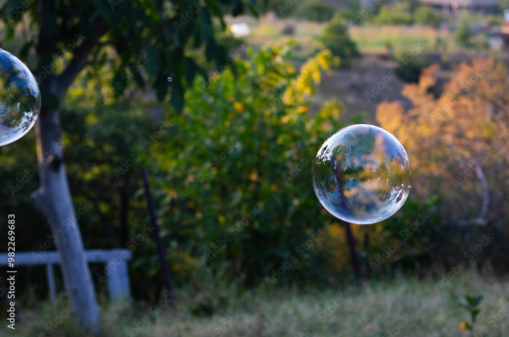 Soap bubbles in yard Soap bubbles in yard