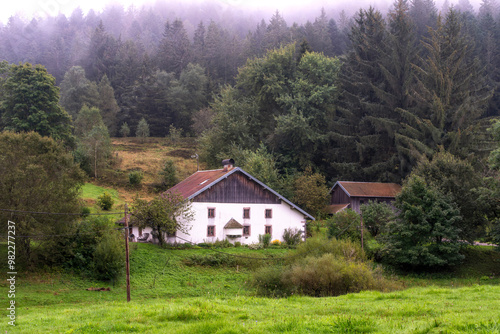 Grande ferme vosgienne traditionnelle au milieu de la forêt et des brumes